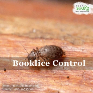 Booklice pest control solutions in Marathahalli